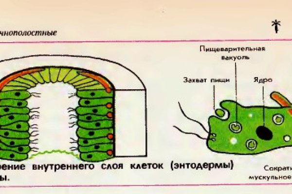 Кракен онион сайт io