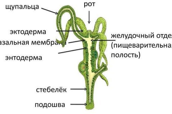 Как пополнить кракен